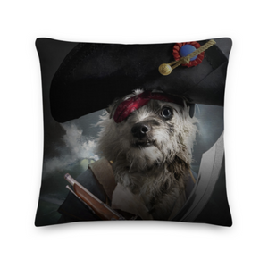 A Pillow- Captain Pirate